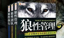 狼性管理读后感