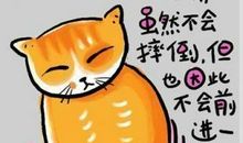 有道理有哲理的经典语句