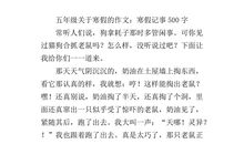 寒假记事作文300字