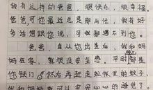 爸爸我想对你说作文