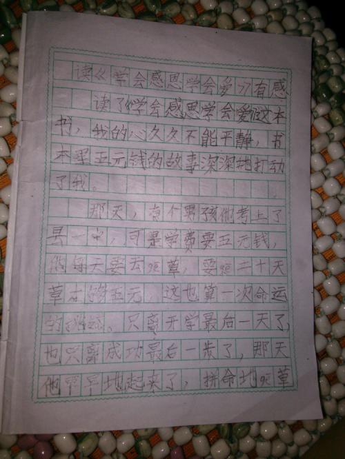 抱怨比感恩还糟糕