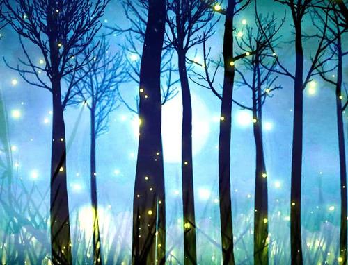 迷人的夏夜组成