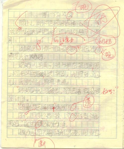 第一次洗碗300字