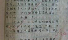 有关温暖的作文