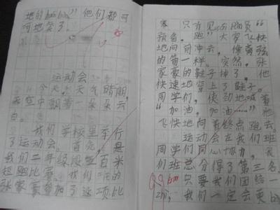 蚂蚁的启蒙作文600字