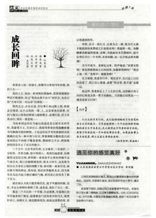 回顾增长的散文