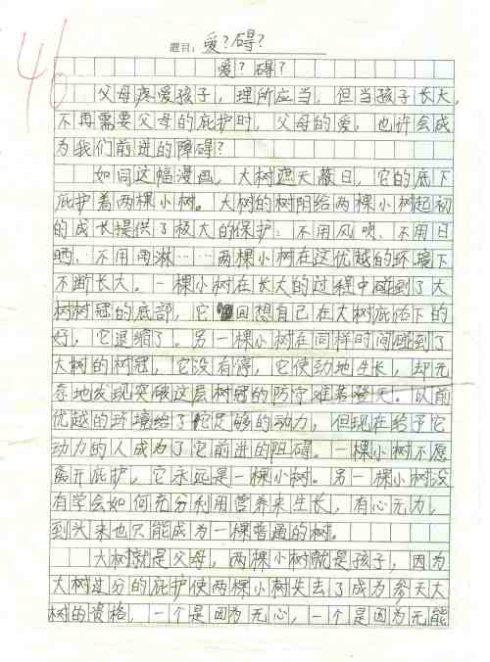 在阳光下飞翔组成