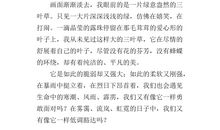 以幸福为话题的作文700字