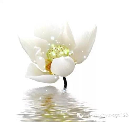 经典语录:无论世界有多大,它都不能比心脏大