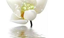 经典语录：世界再大，也大不过一颗心