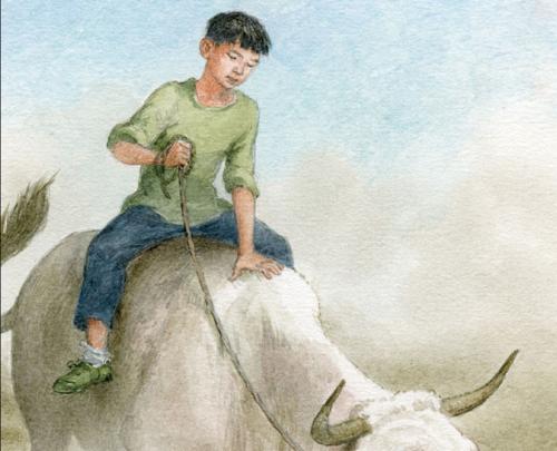 看完曹文轩的作品