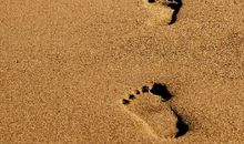 经典语录：人生最清晰的脚印，往往印在最泥泞的路上