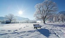 冬天的早晨作文