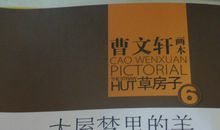 大屋梦里的羊读后感