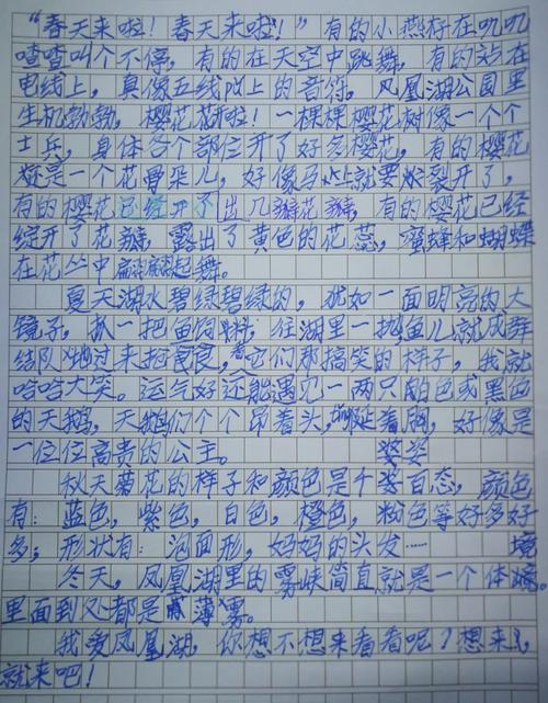 美丽的风景组成