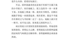 我的童年作文100字