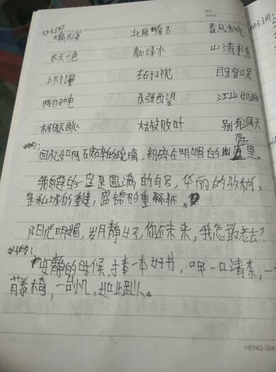 我最喜欢的书作文200字