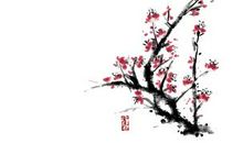 且行且珍惜作文1000字