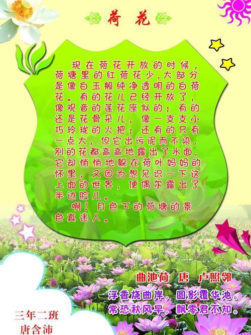 描述荷花池的组成