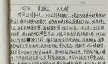 世界因你而美丽作文