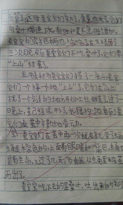 小学四年级作文校园