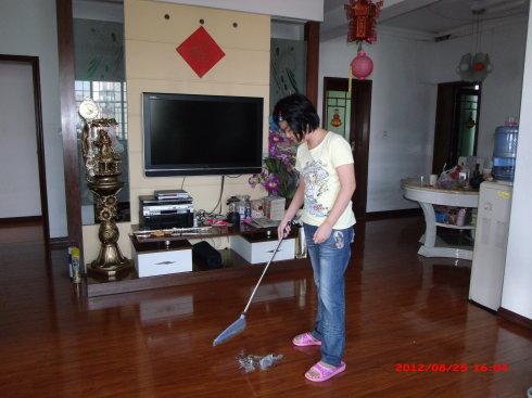 家庭清洁成分500字