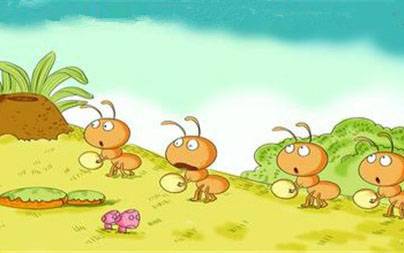 蚂蚁运动的启示