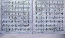 大年初一作文300字