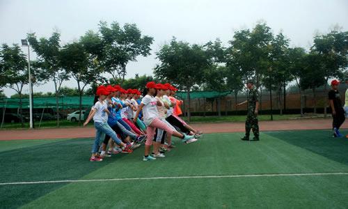 难忘的夏令营组成