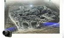 中华第一龙读后感