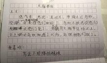 大雁落脚的地方读后感