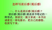 我爱文学读后感