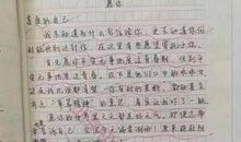 小草的启示作文