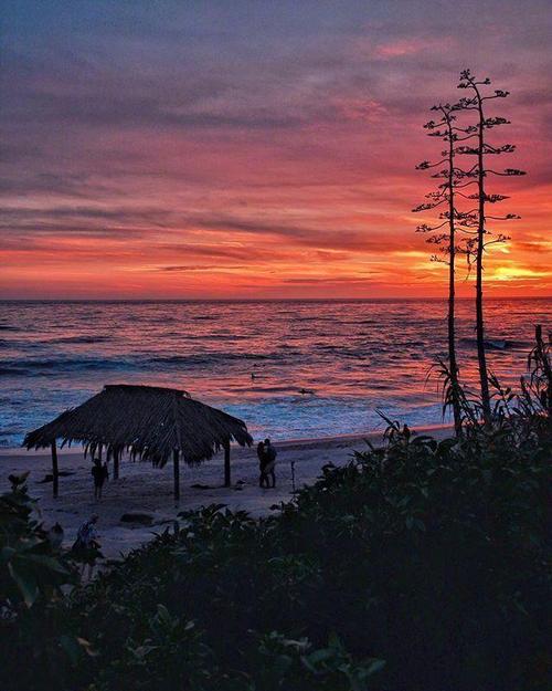 现实的经典报价