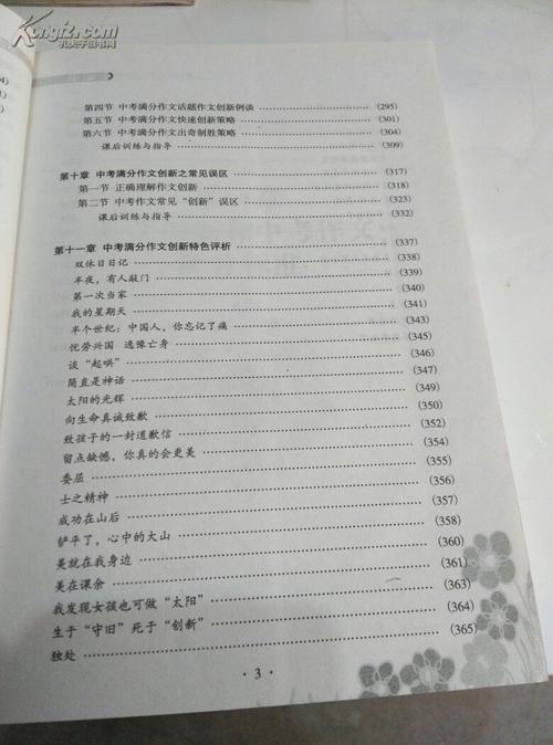 2013高考满分作文安徽纸业：朝阳？自来水？梦想