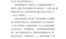 大年初一作文600字