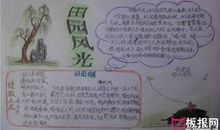 关于写田园风光的作文