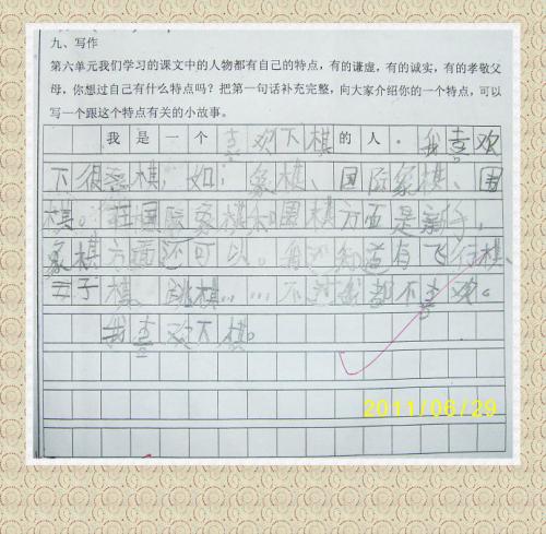 美丽的森林组成