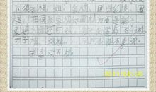 美丽的森林作文