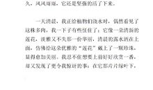 植物的启示作文