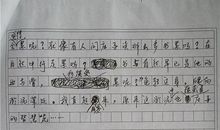 2013年高考满分作文湖南卷：纸 梯