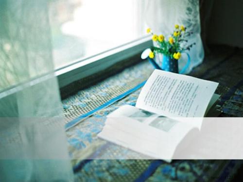 夏天的阳光组成