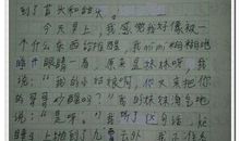 我的家作文100字