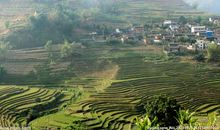 关于田园风光的作文