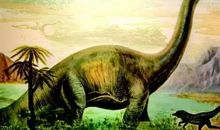 《森林里的恐龙朋友》读后感