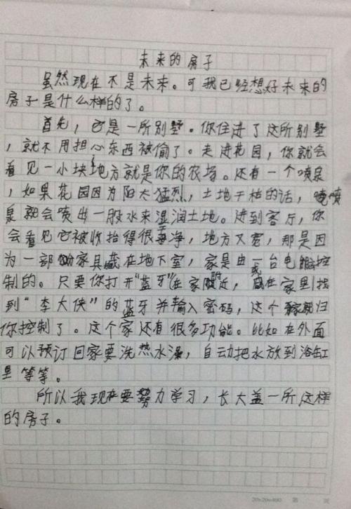 300字代表未来的房子