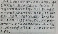 未来的房子300字