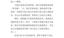 有关寒假趣事的作文