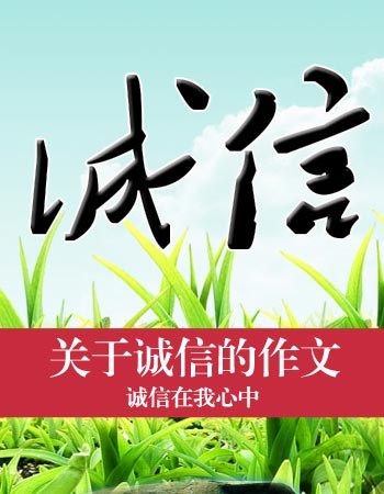 美丽的谎言作文400字