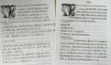 环保调查报告作文